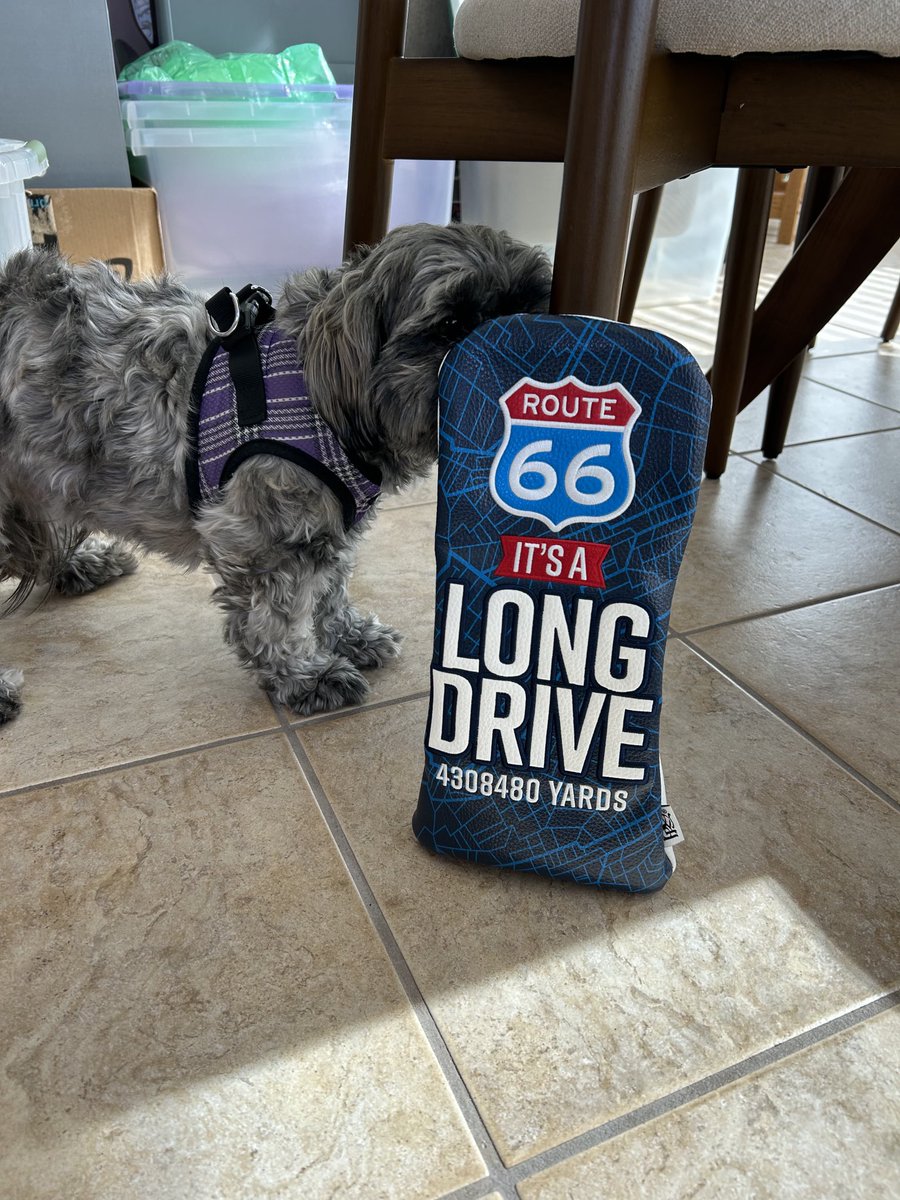 It’s all about getting your kicks, baby!!! Maisie got hers today when we got this delivery. And I’ll get mine when I next tee it up. THANK YOU ⁦<a href="/PRG_Golf/">PRG Golf</a>⁩ and ⁦<a href="/PGAPappas/">Pete Pappas</a>⁩ !!!