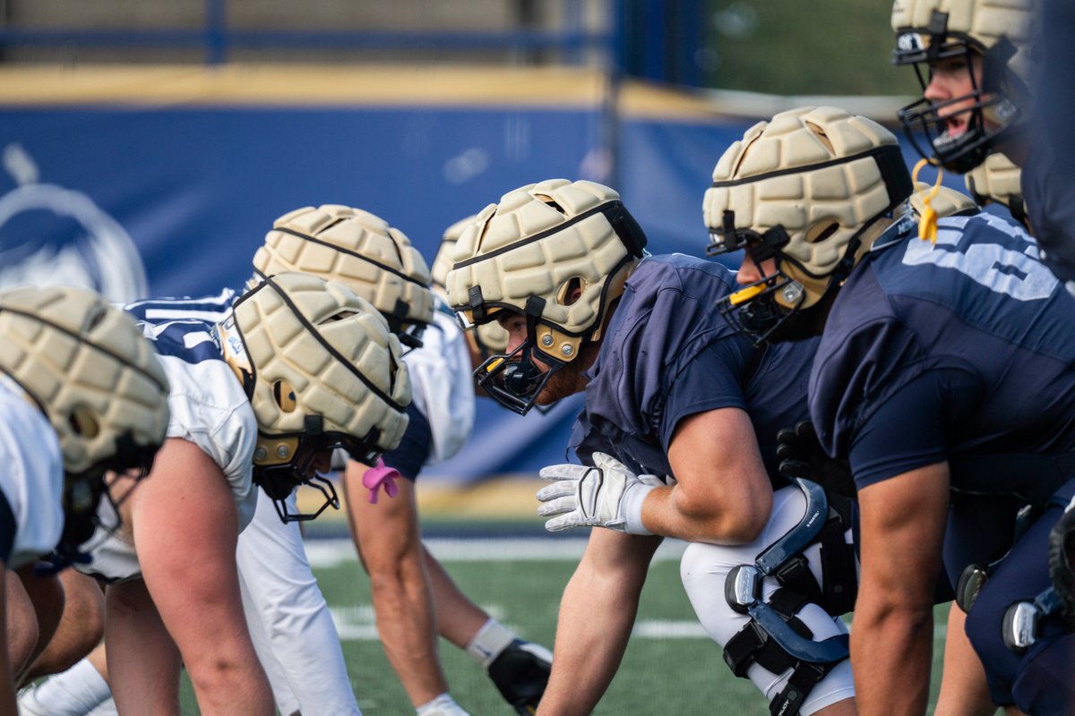 TheRightCats's tweet image. 𝐓𝐡𝐞 𝐃𝐨𝐧𝐉𝐨𝐲 𝐌𝐚𝐟𝐢𝐚 🤝

#BobcatBuilt | #GoCatsGo