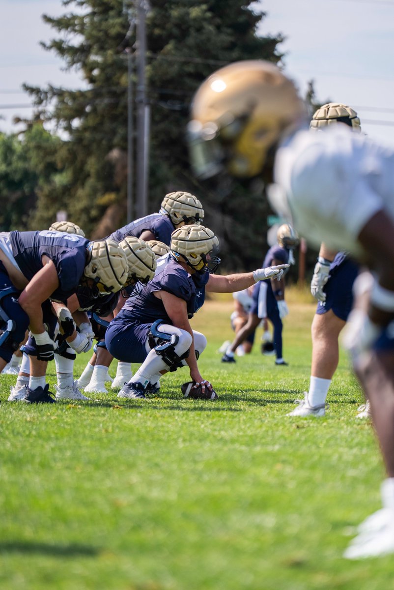 TheRightCats's tweet image. 𝐓𝐡𝐞 𝐃𝐨𝐧𝐉𝐨𝐲 𝐌𝐚𝐟𝐢𝐚 🤝

#BobcatBuilt | #GoCatsGo