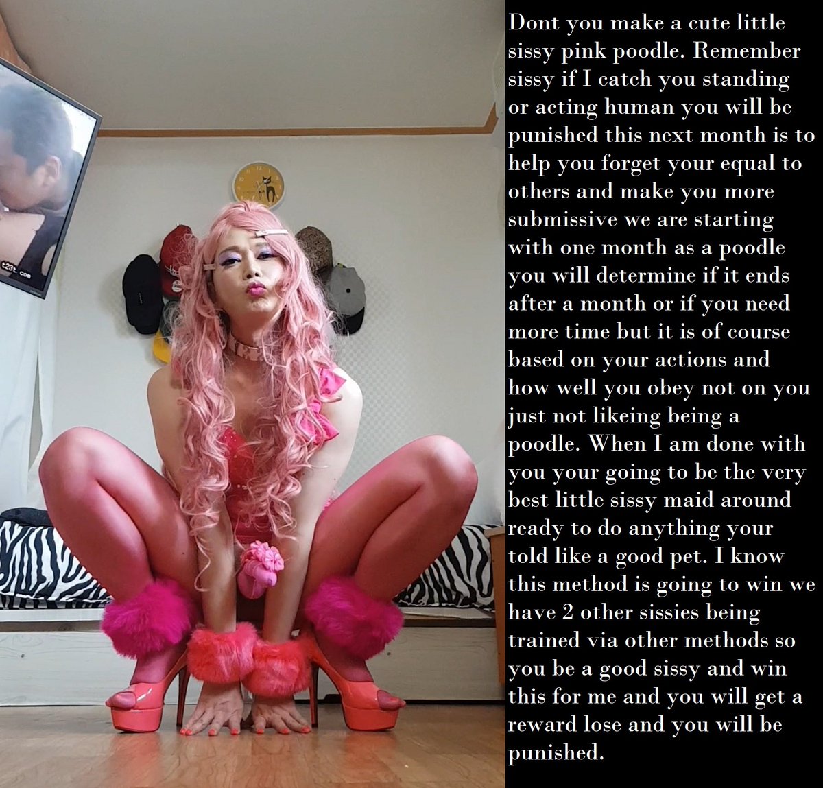 흐앙 텀블러에 내사진 올라갔었넹♡
넘 기쁘고 흥분돼♡
본토 Sissy 언니들이랑 같은 취급♡
tumblr.com/wimpy-sissy-ca…