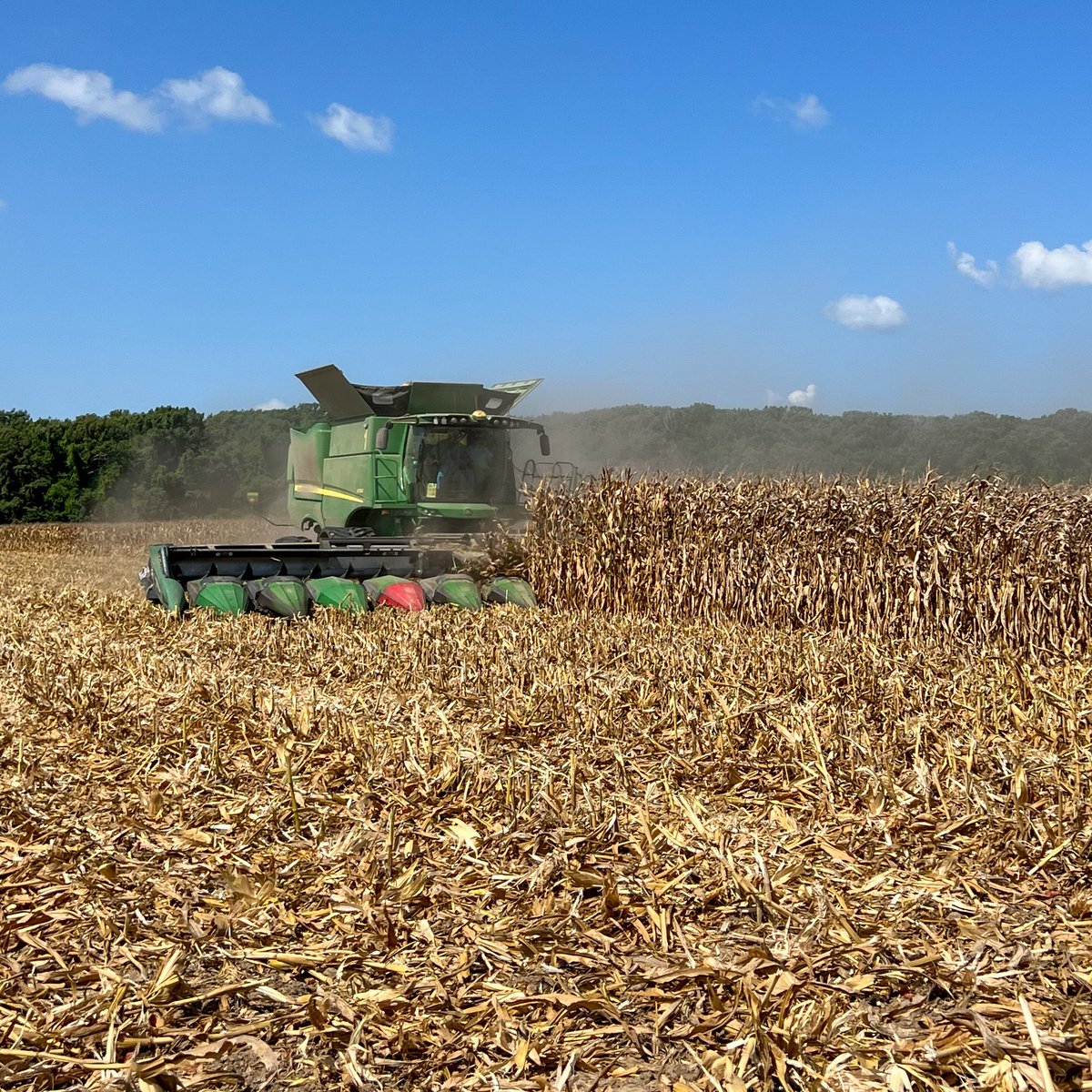 Erick Larson tweet media