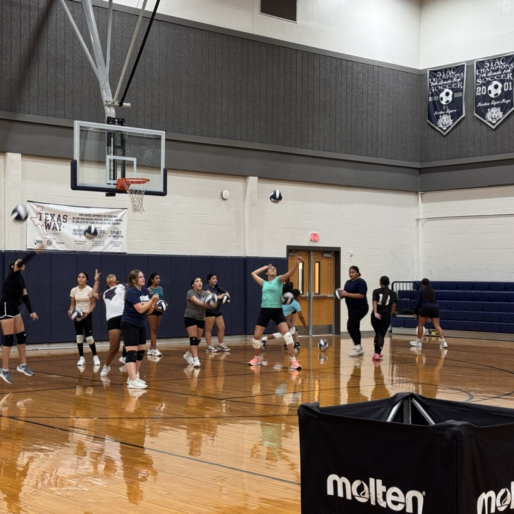 swisd_sco's tweet photo. Tiger Volleyball is gearing up for a new season! Make sure to come cheer them on, at their upcoming games! πππΎ
#TigerPride #GoTigersGo #RootEdScobeeMS #ItsATigerThing #SWISDexperience https://t.co/yPVIT27NmN
