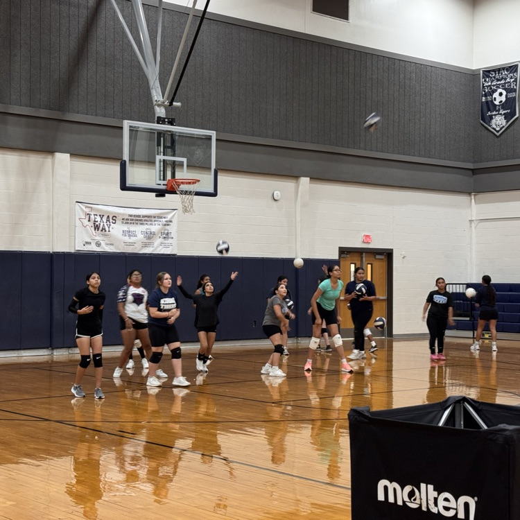 swisd_sco's tweet photo. Tiger Volleyball is gearing up for a new season! Make sure to come cheer them on, at their upcoming games! πππΎ
#TigerPride #GoTigersGo #RootEdScobeeMS #ItsATigerThing #SWISDexperience https://t.co/yPVIT27NmN
