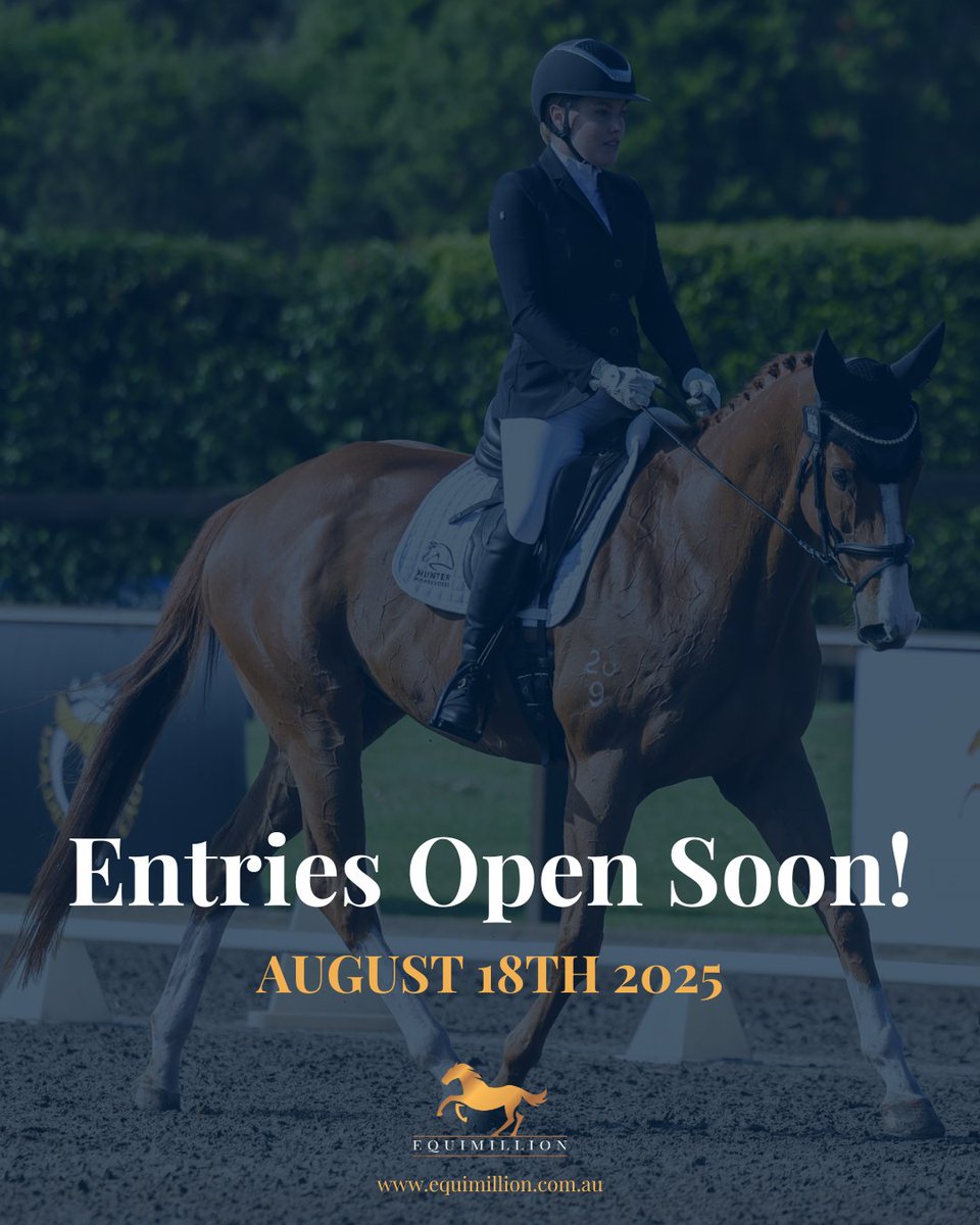 Equimillion tweet media