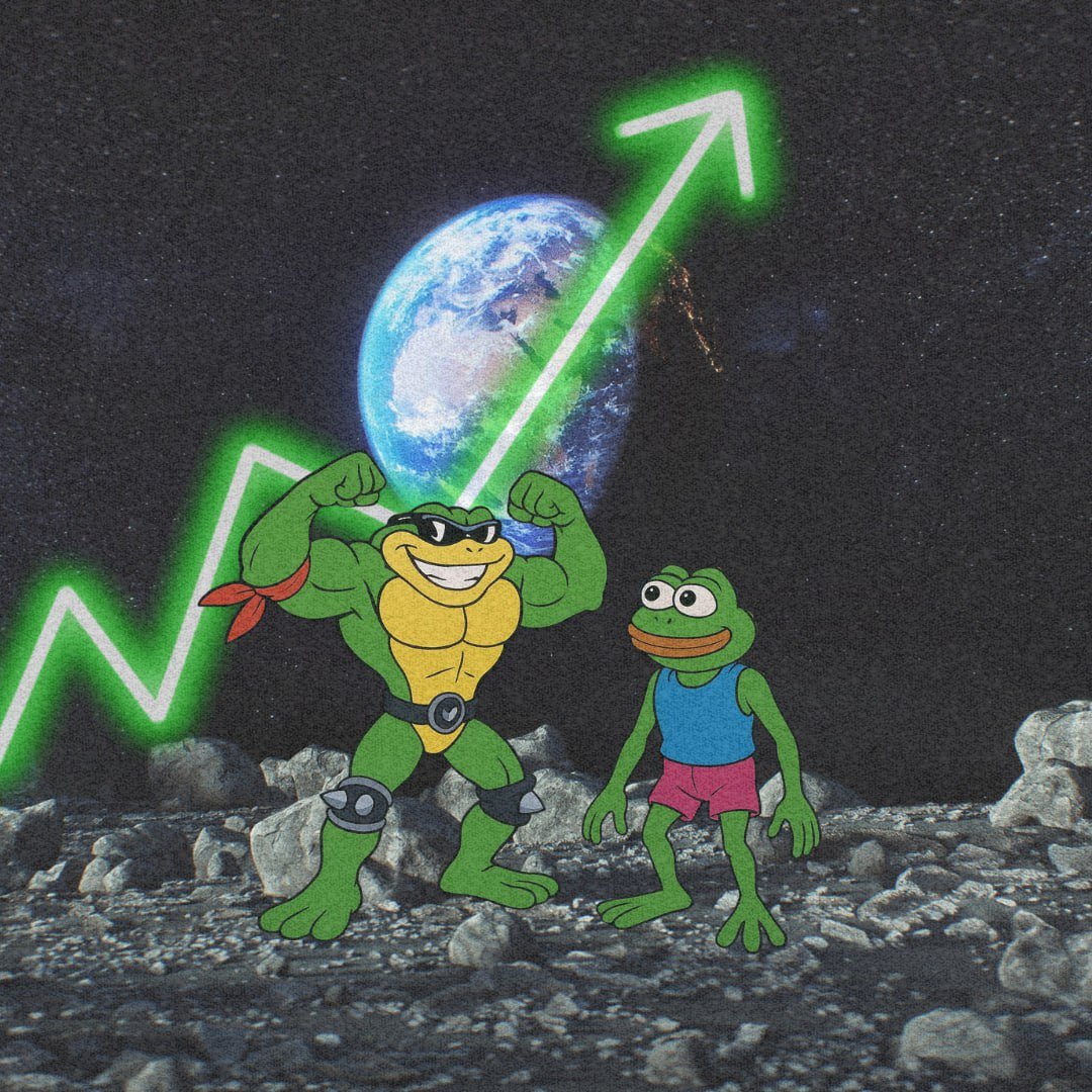 The Battletoads - $TOADS tweet media