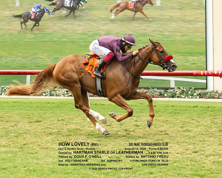 Let’s goooo!!! <a href="/DougONeill1/">Doug O'Neill</a> <a href="/Antonio1Fresu/">Antonio Fresu</a>