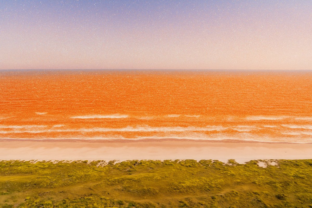 PortATexas tweet picture