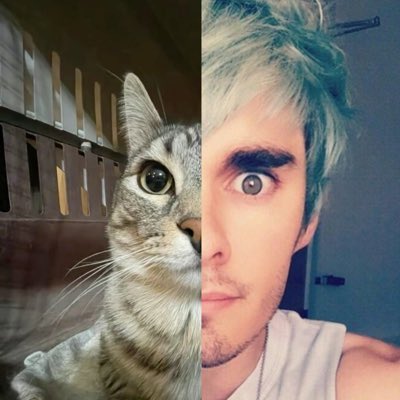 chey 🐈 (@doubledarelover) on Twitter photo 