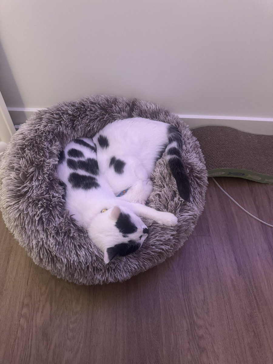 They love each other so much 😭