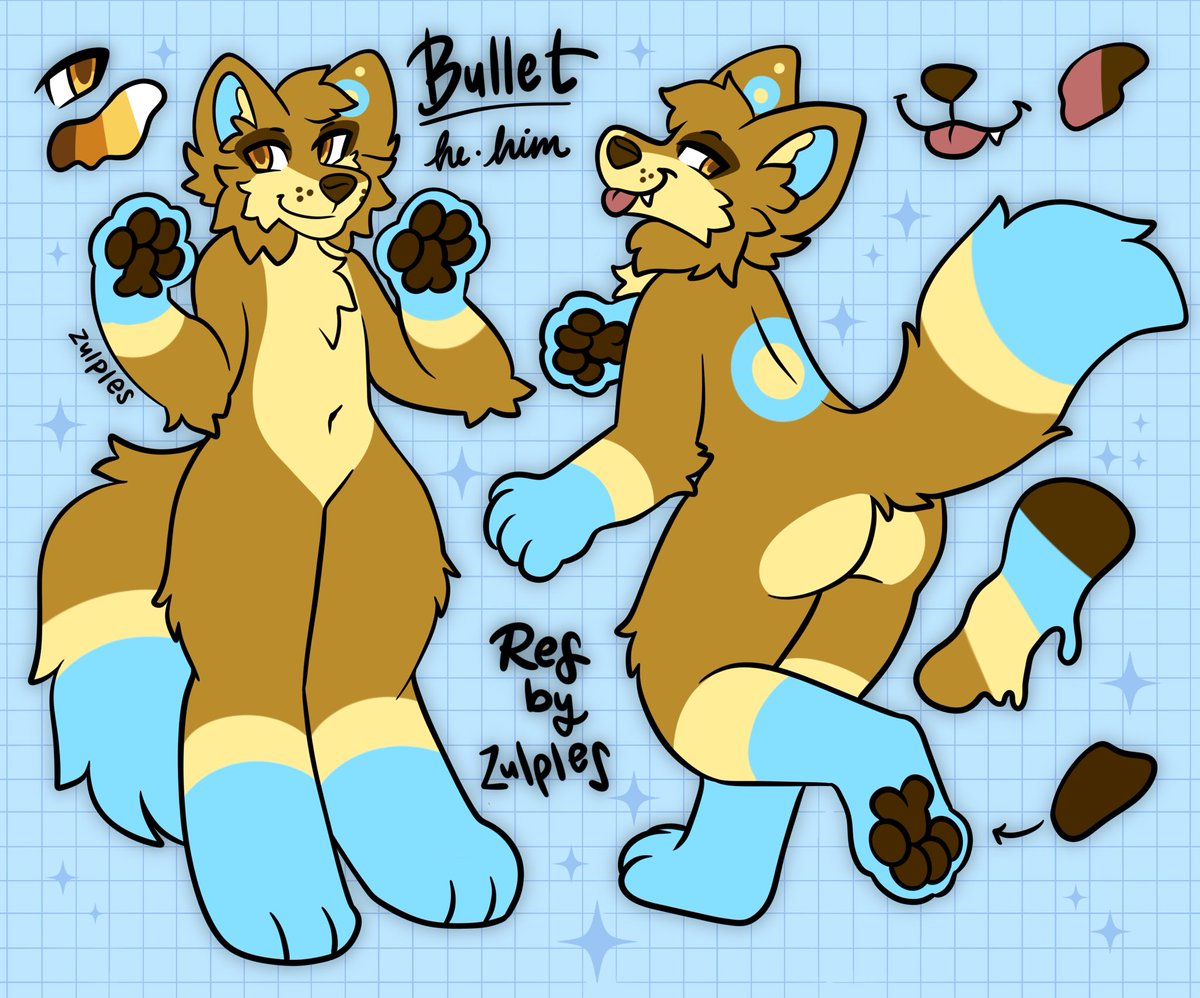 Bullet Woofs 🦴 tweet media