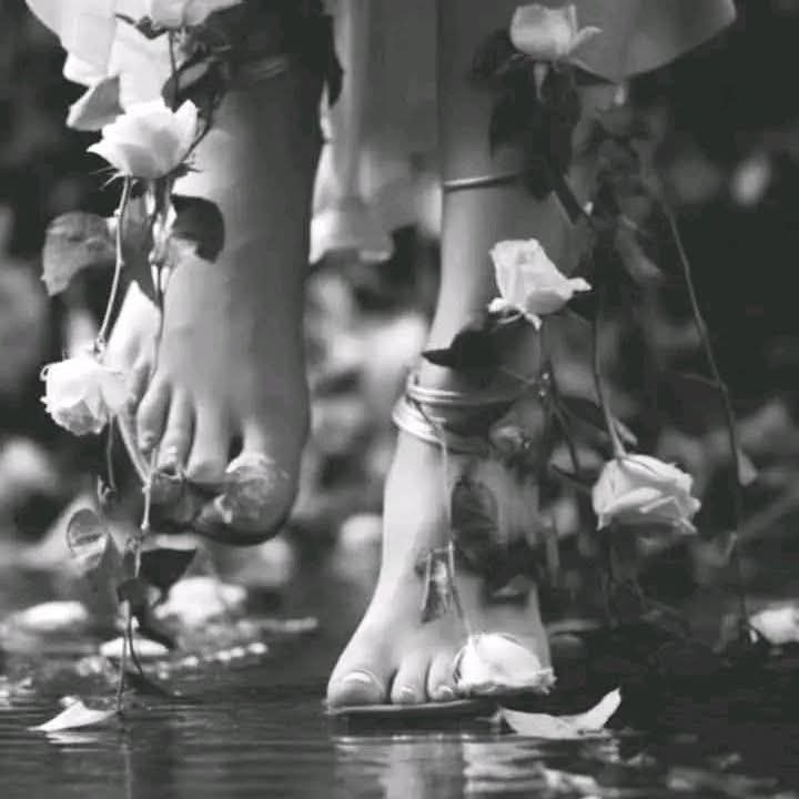 🌹
Si no puedes ser poeta, sé el poema. 

 David Carradine