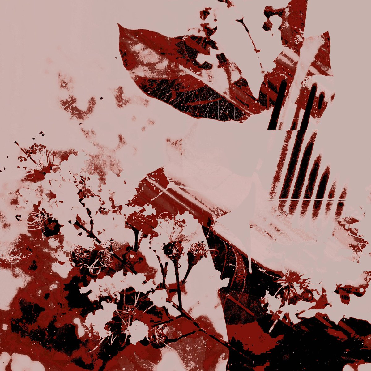 so this is what it feels like to be hungry … wow ! ☀️ 

… you know , ( * reader ) , before joining mg , i used to have alot of resident maids &amp; butlers cook me nice meals every day back at my mansion . they even taught me truffles are great for relieving morning fatigue .✨