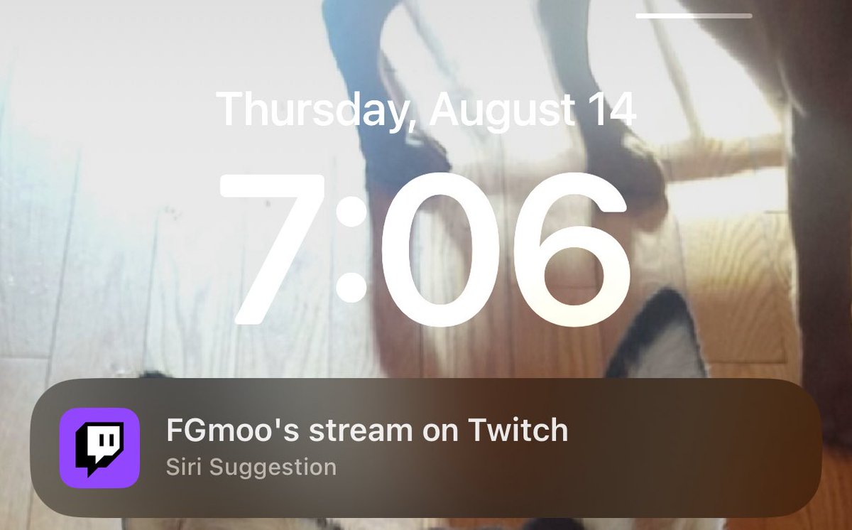 NotFGems's tweet image. my phone understands what my life needs