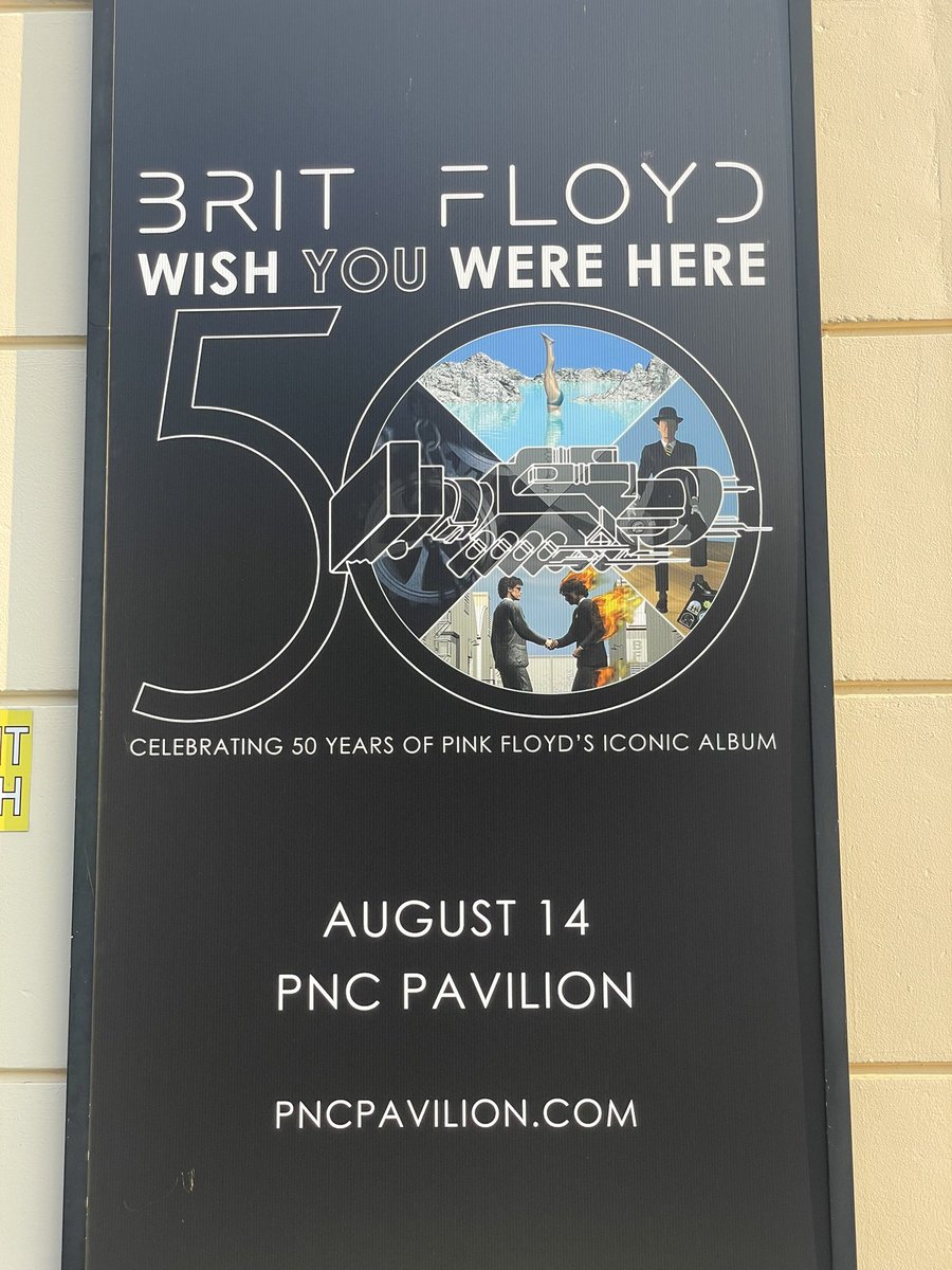 Lisa Moran 🧡🖤🐅🏈 tweet media