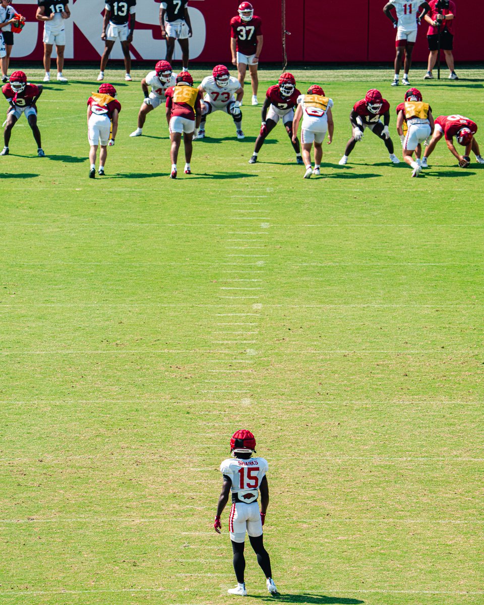 Arkansas Razorback Football tweet media