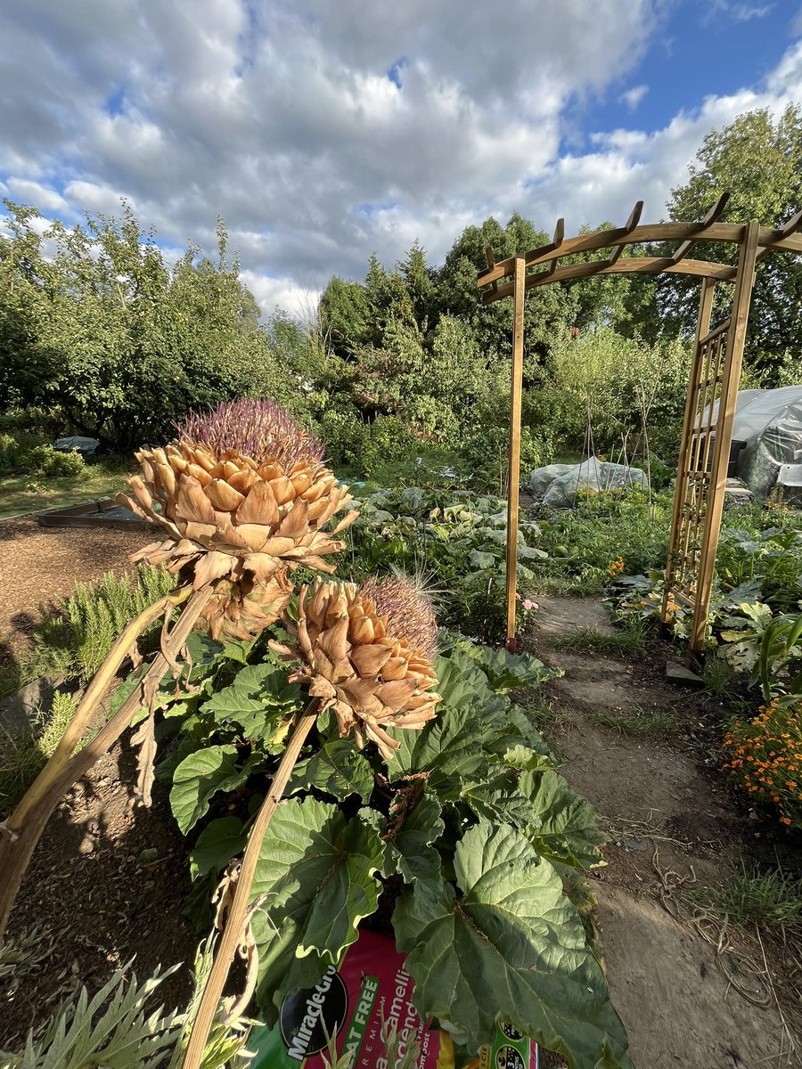 Karen Anstee tweet media