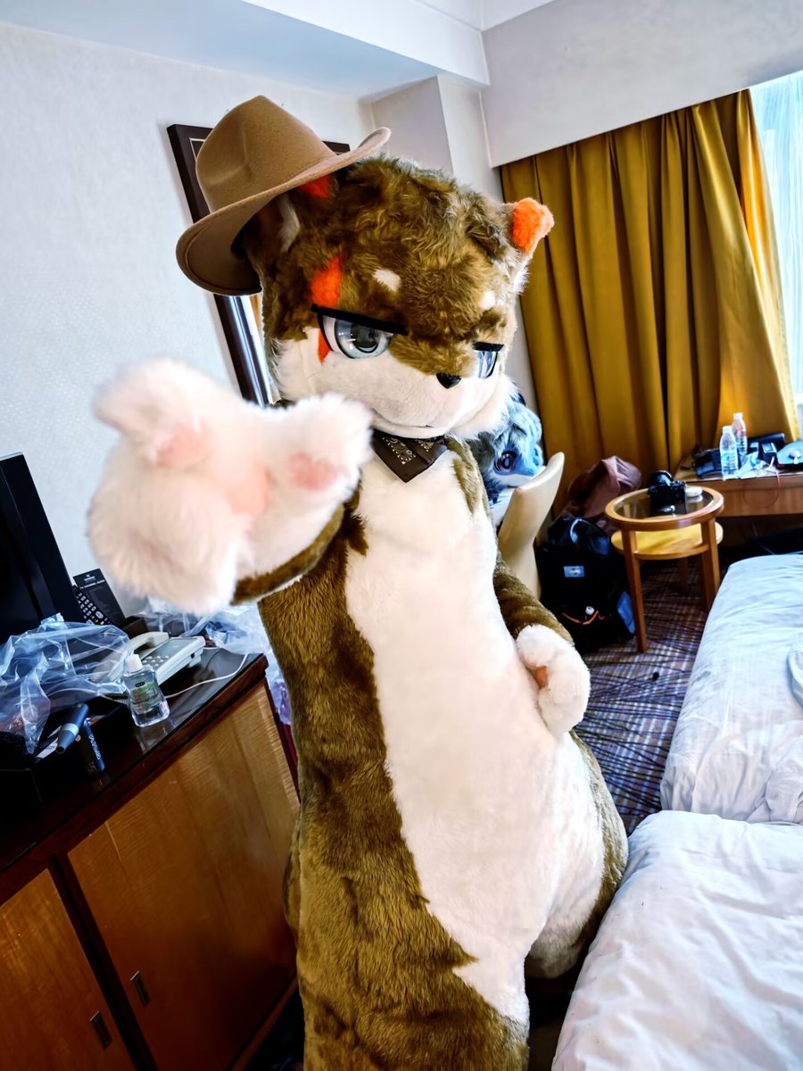 酷酷的我，酷酷的走～

#FursuitFriday #Fursuit