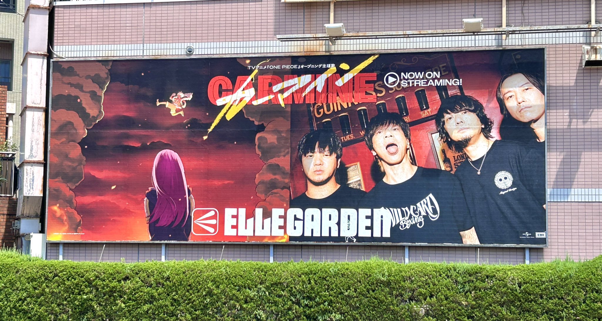 ELLEGARDEN ポスター 未開封】ELLEGARDEN ポスター - メルカリ