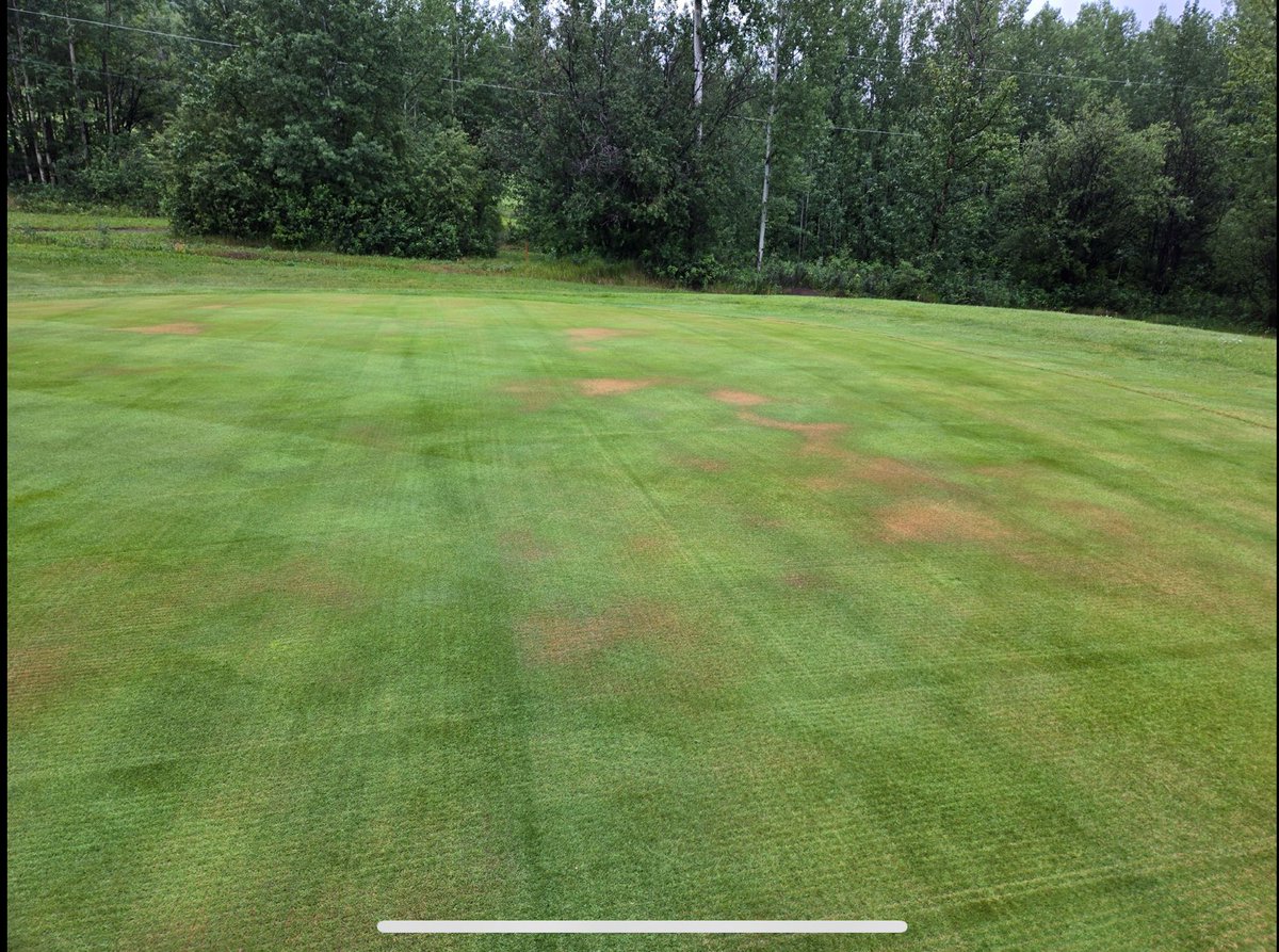 Aquaritin_Turf's tweet photo. “As a 30+ yr turf manager, Aquaritin Sparc has been a pleasant surprise. Had localized dry spot occur when temps rose above 30°C(86°F) in northern BC. Applied 2 apps 7 days or so apart and have not seen the LDS return. So many positives, including the price per application at next to nothing. Very beneficial to the small 9 hole operation.”
Get A FREE Jug and see for yourself why Aquaritin Sparc is the last wetting agent you'll ever need to use.
https://t.co/tiKAf2MJTL