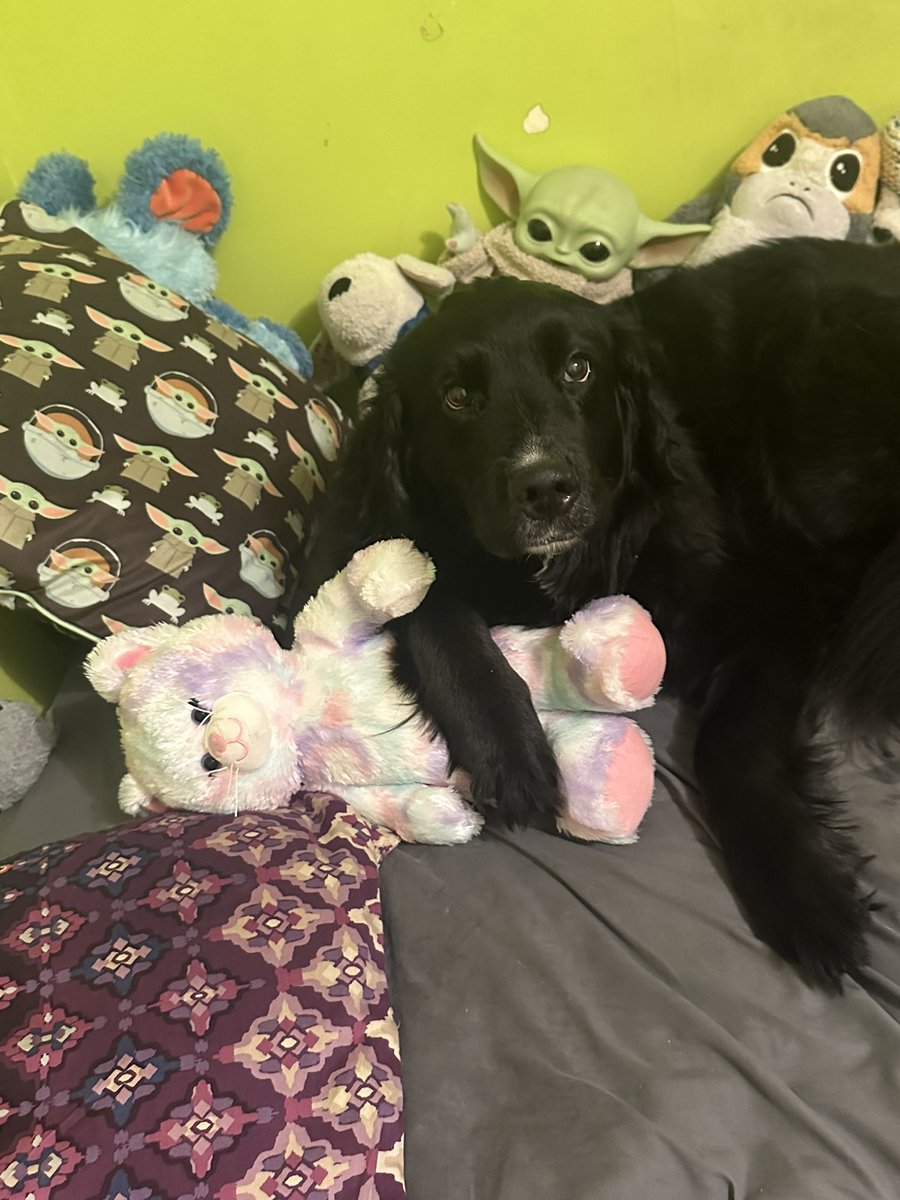 This is quite possibly the most adorable thing I’ve ever seen in my life