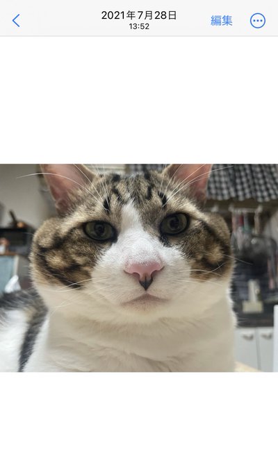 Twitterのコスプレ画像14