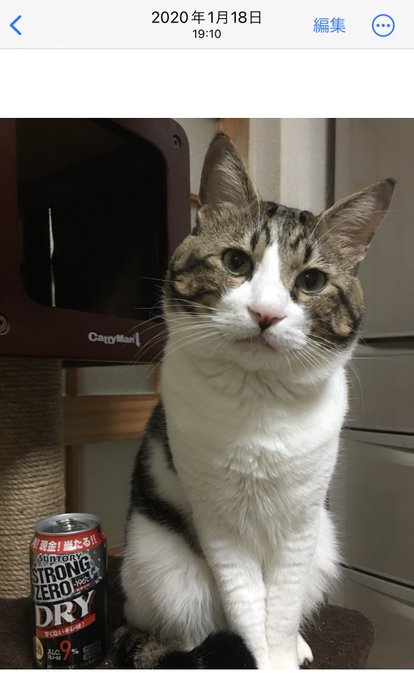 Twitterのコスプレ画像13