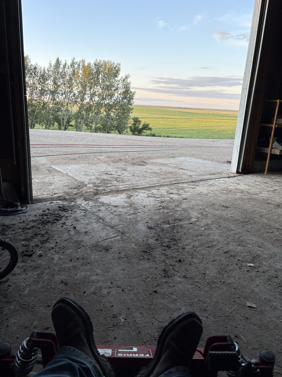 August 14th grass mowing. Seems like the last few years it’s been parked from about June-on. This is a nice change.