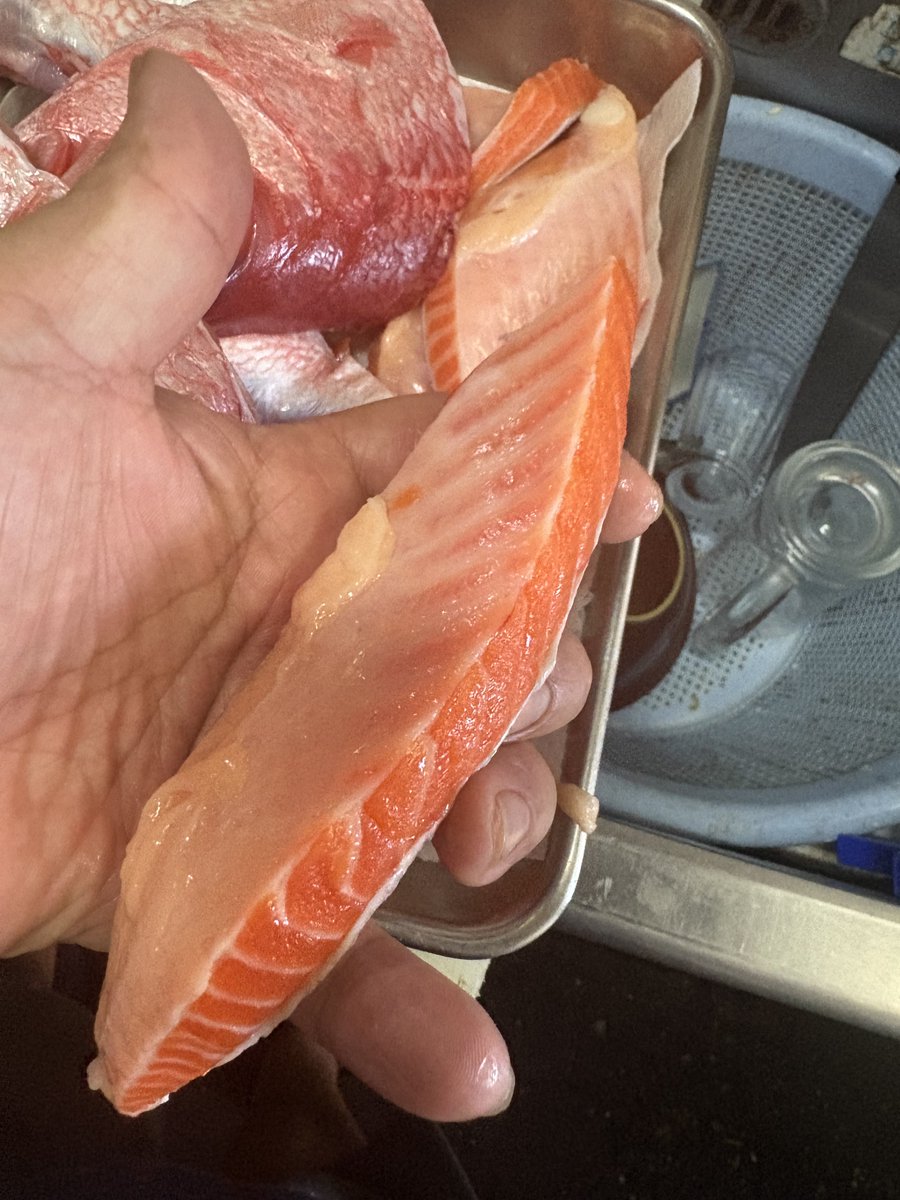 西大井 とりいち (@toriichi5013) on Twitter photo オナガダイのカブトカマ焼き
八幡平サーモンのハラス焼き
夏は塩をきかせた焼き魚が美味い。とりいちは自慢の炭火焼です
オナガダイの旨味VS八幡平サーモンの脂
どちらがお好みですか? オナガダイのカブトカマ焼き
八幡平サーモンのハラス焼き
夏は塩をきかせた焼き魚が美味い。とりいちは自慢の炭火焼です
オナガダイの旨味VS八幡平サーモンの脂
どちらがお好みですか?