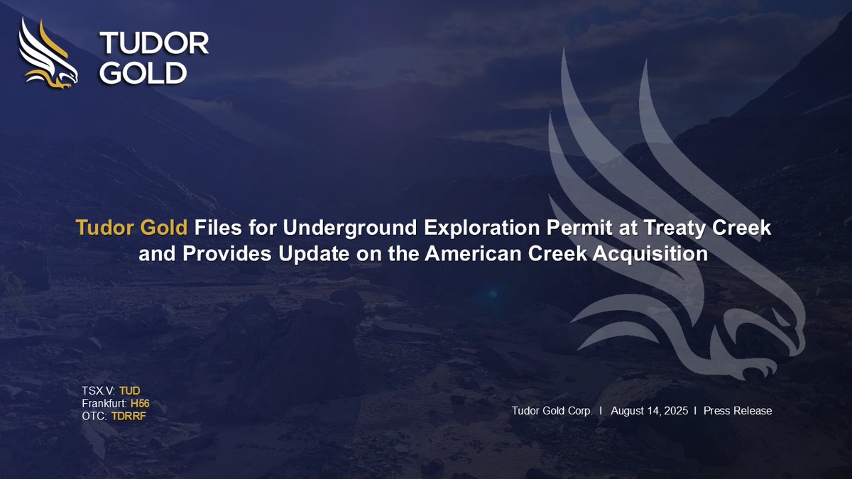 Tudor Gold Corp. tweet media