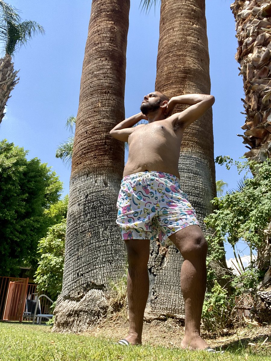 Queercholo tweet media