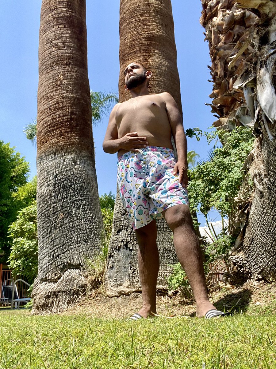 Queercholo tweet media