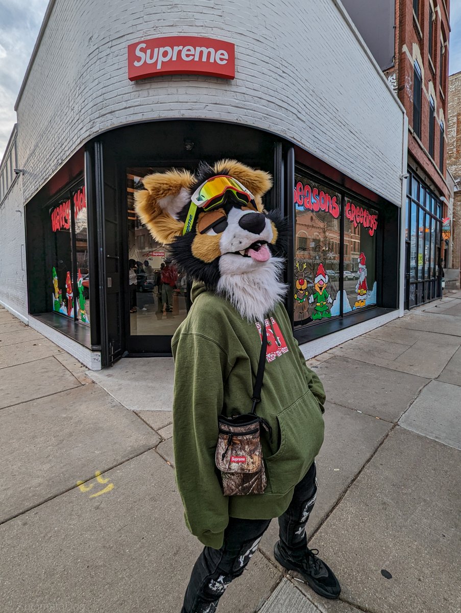 sure can

🐕: <a href="/norfdog/">norf 🫠</a> 

Locations: Mt Rushmore, SD; St Louis, MO; Prada Marfa, TX; Supreme Chicago, IL
