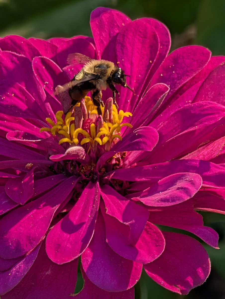 <a href="/psychoticstate/">psychoticstate</a>