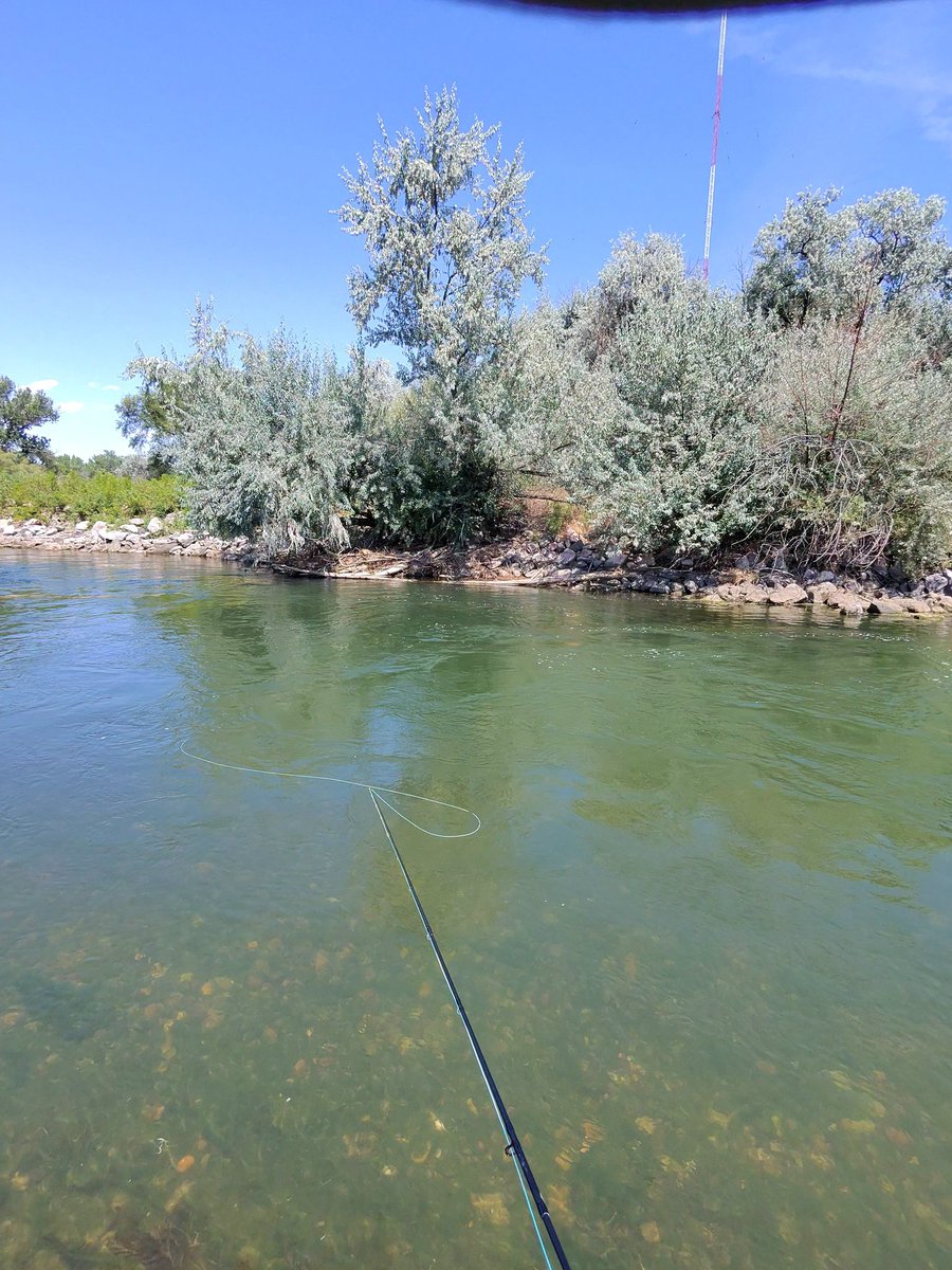 Th3CombatLlama's tweet image. Went out and touched some grass...well went fly fishing out at the river lol. Well needed time. Might do some lives out there who knows lol