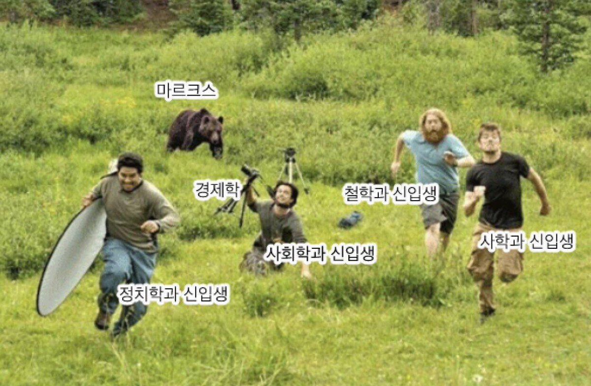 최채지 tweet media