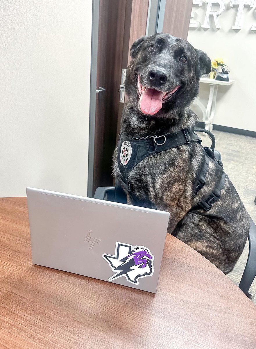 K9 Tigi stopped by the office to help out with MAP test planning! <a href="/LamarCISDPD/">LamarCISD Police Department</a>