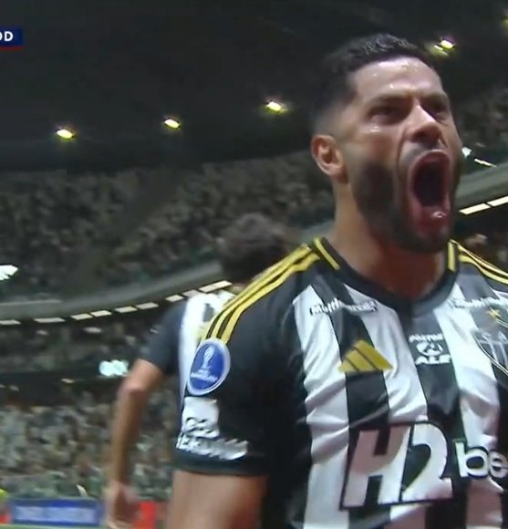 Zona do Galo tweet media