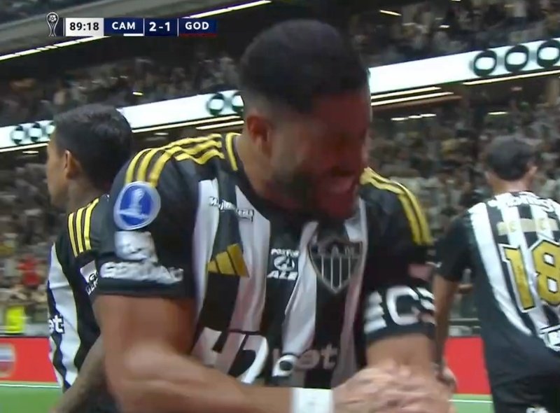 Zona do Galo tweet media