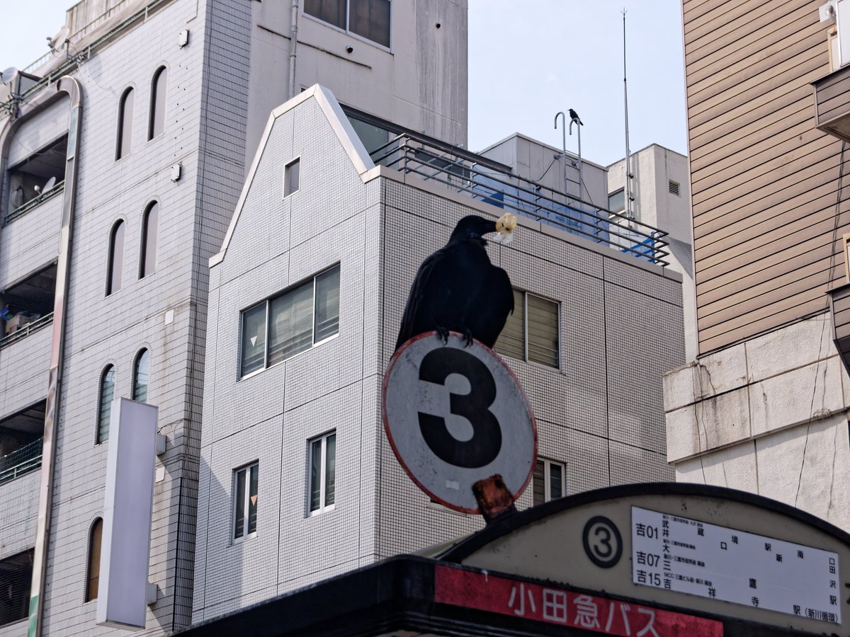 Funabasi_Hinode's tweet photo. #streetphotography #streetphotographer
#キリトリセカイ #LumixGF3 #DMCGF3 https://t.co/mWOE9Tfw5a
