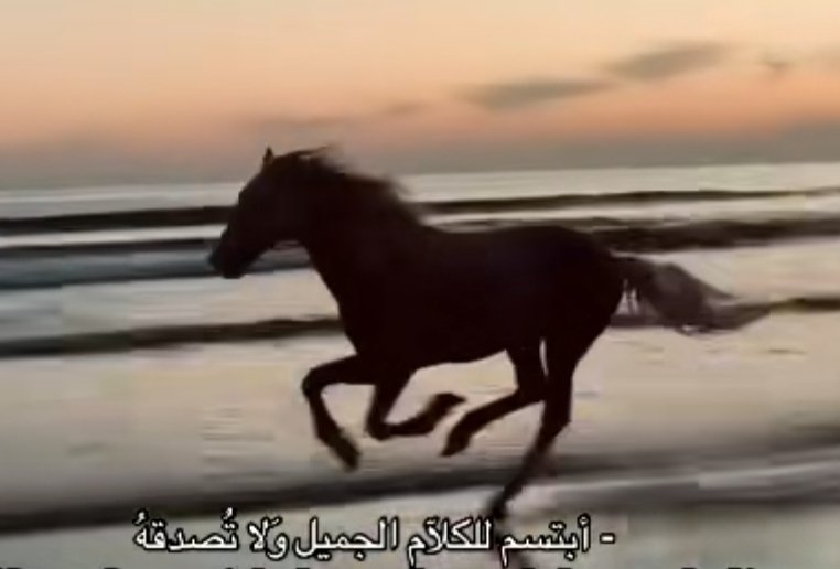 ▪︎▪︎مِےـيّےـشّےـوِ▪︎▪︎ (@me__o511) on Twitter photo 