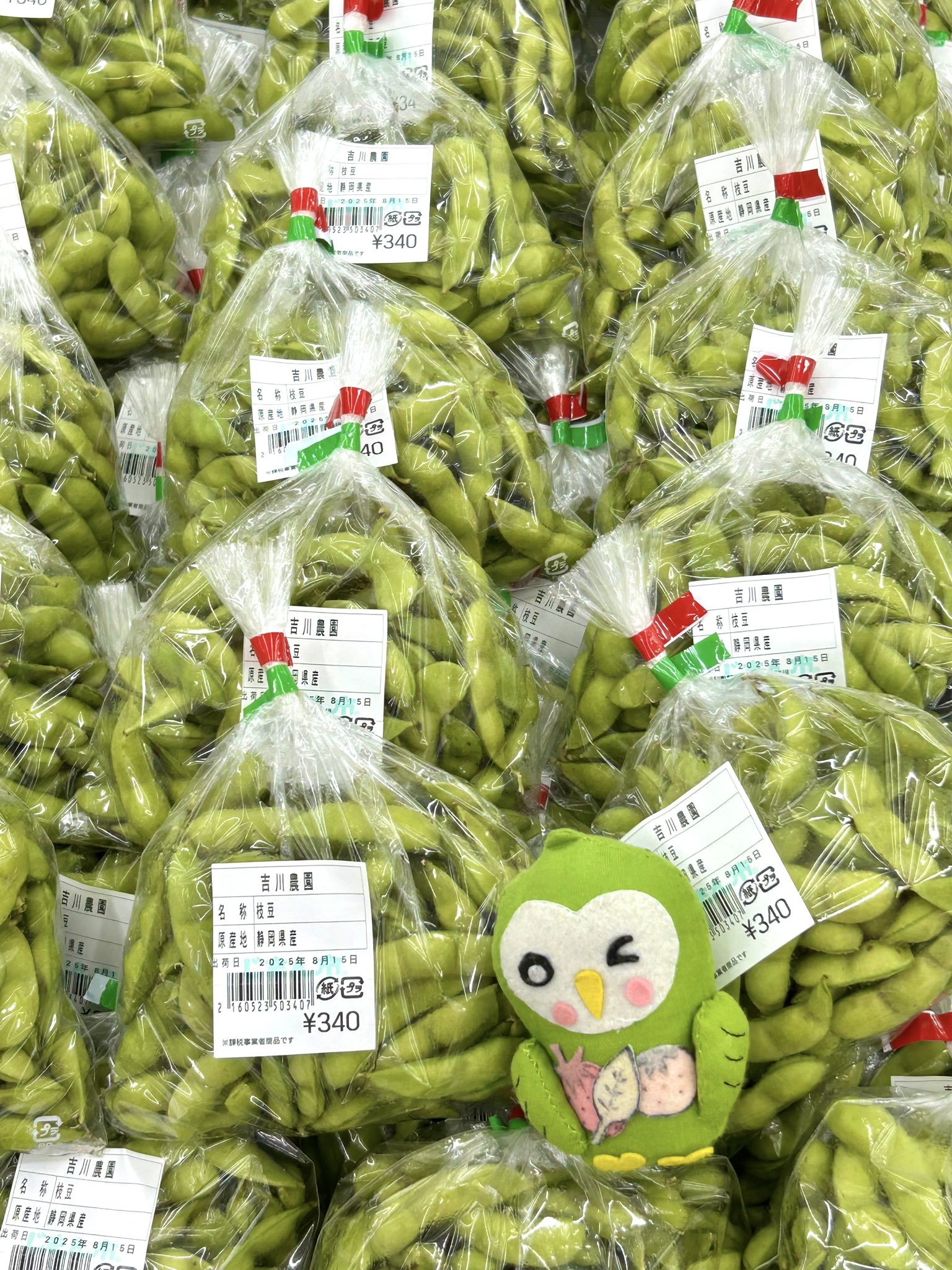 アスパラガス アスパラガス - البحث / X