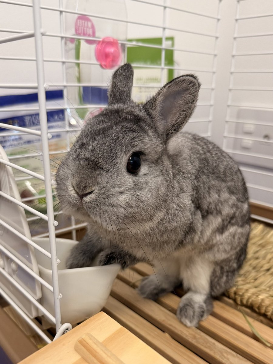 あまりにわかりやすい要求