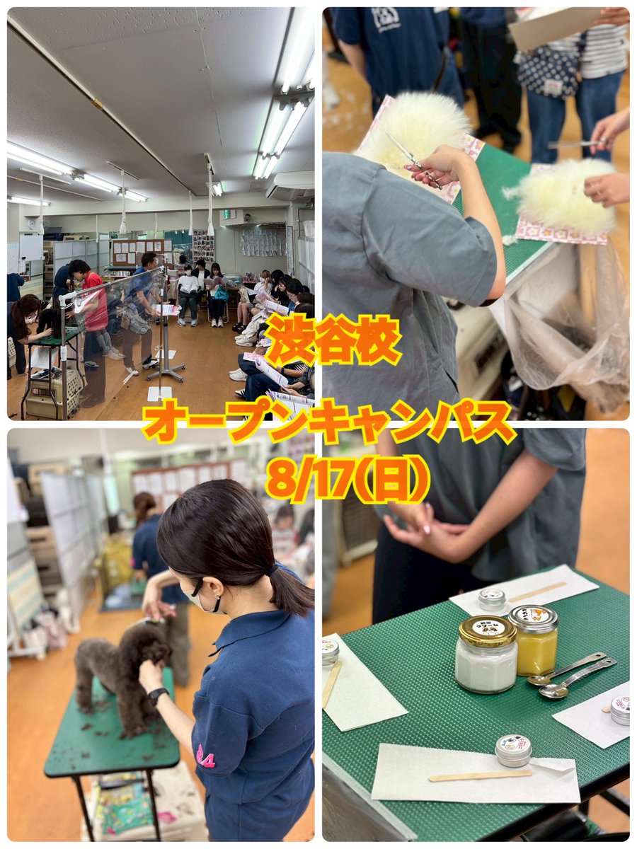 SJD_DOG's tweet photo. 渋谷校

8/17(日)渋谷校
オープンキャンパスがあります📢

学校選びに悩んでる方
トリマーになりたい方は
是非お気軽にお越しください。

生徒のお話や、カット姿も見れます😲✂️
体験やプレゼントもたくさんあります♪♪

ご予約は不要です！
13:30〜開始(実技教室にて) https://t.co/rI7ZE8JEWS