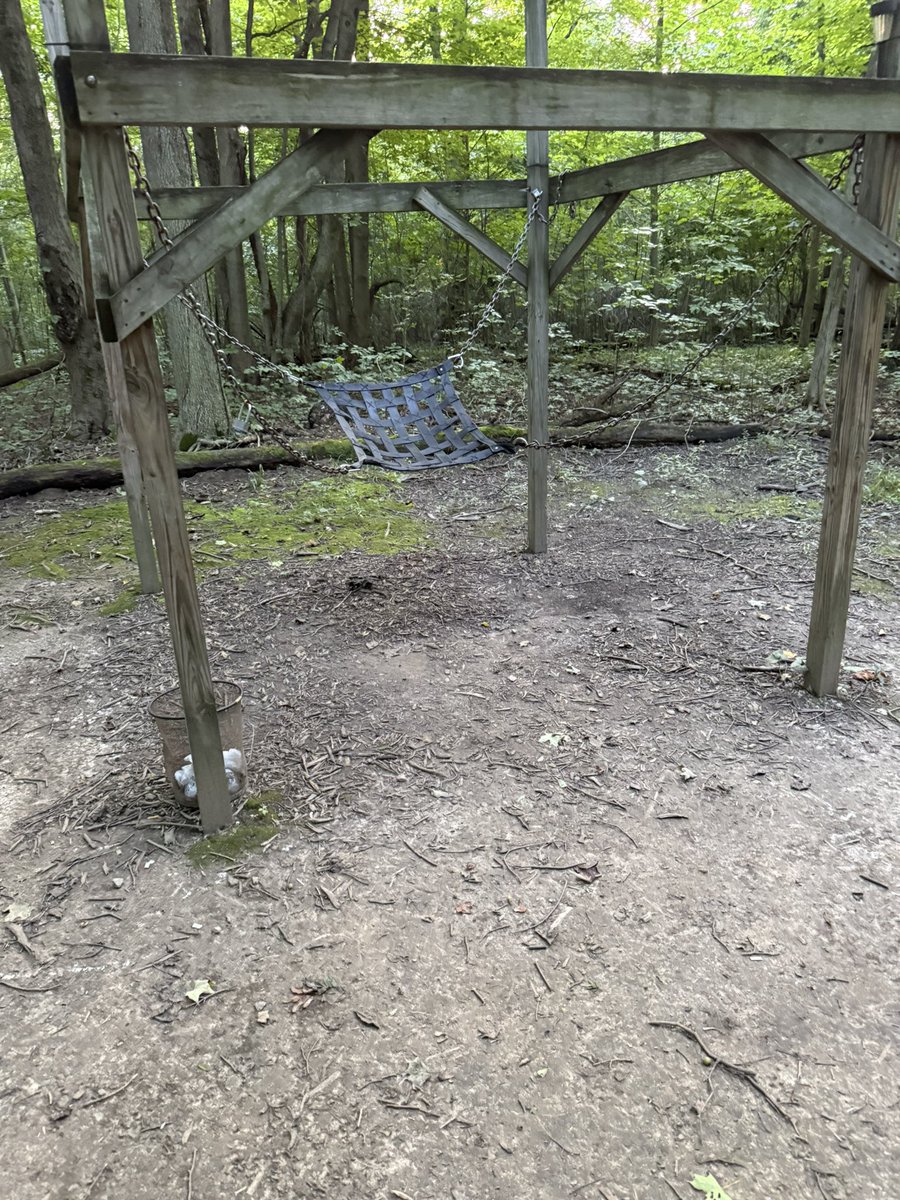 MgtnBear tweet media