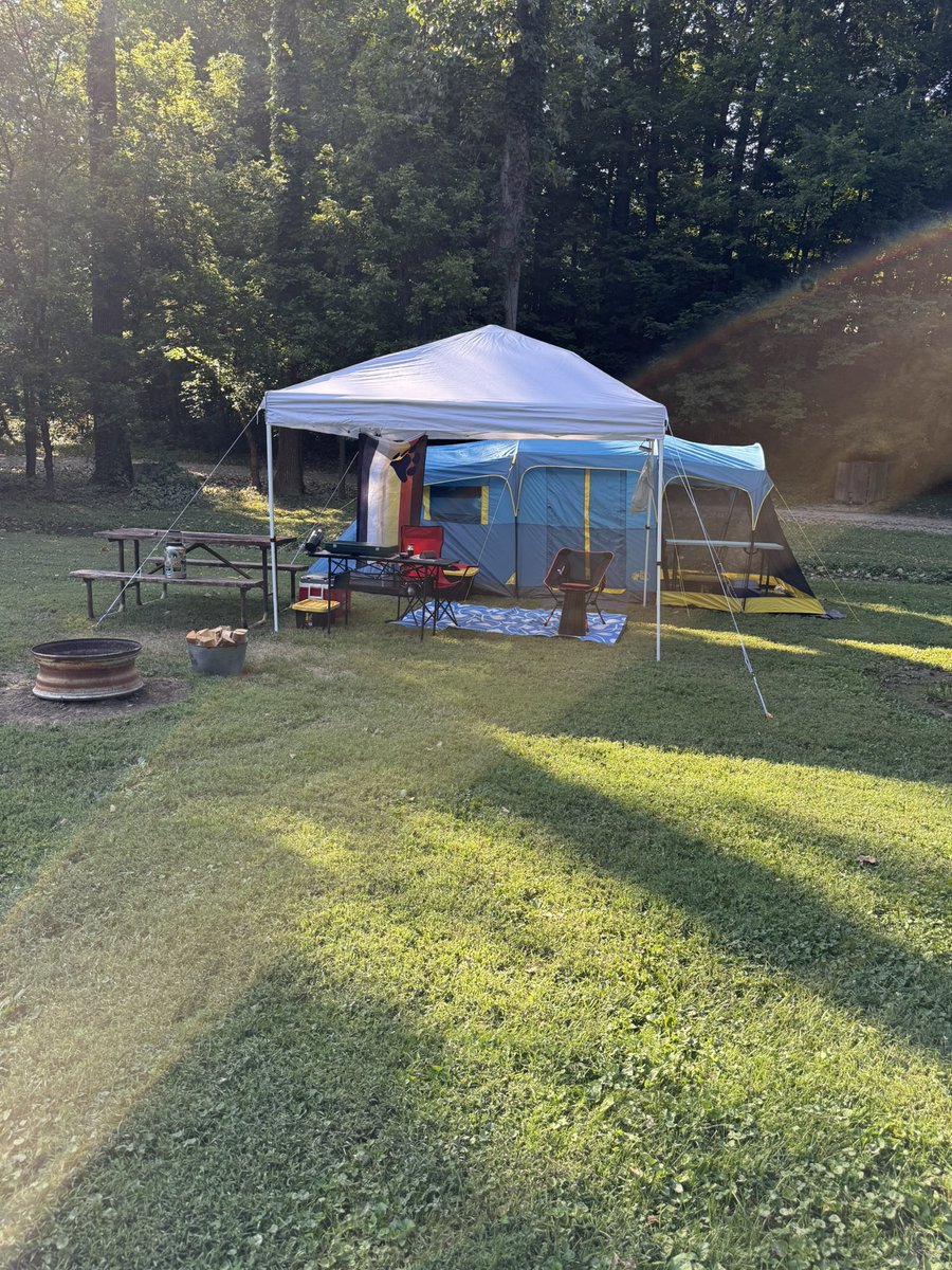 MgtnBear tweet media