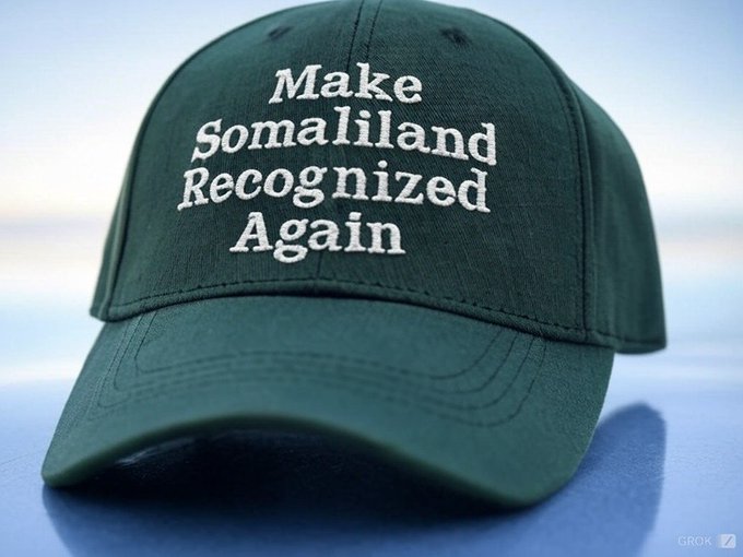 DrQarran's tweet photo. @min_abdirahman @realDonaldTrump Recognized  agian https://t.co/d3iW35a5yx