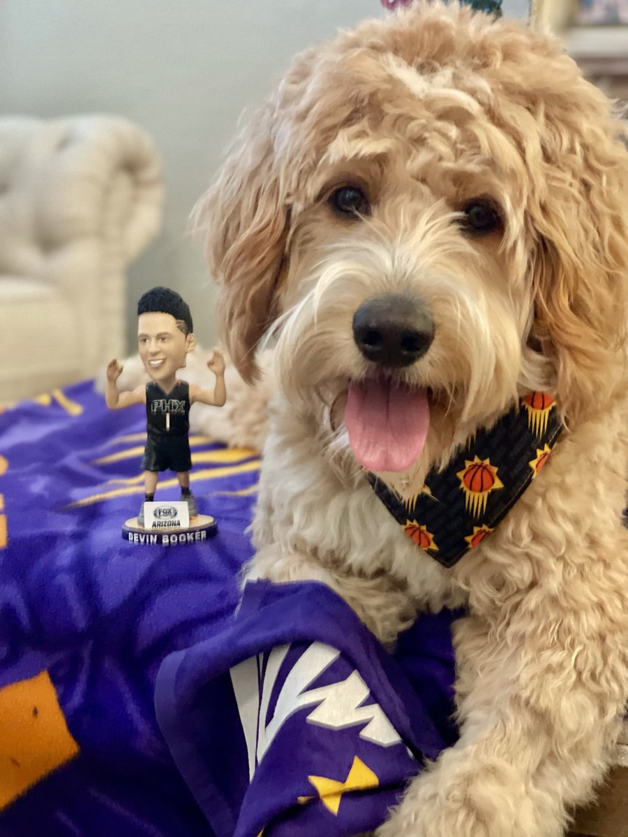 bcaretto's tweet photo. @Suns Rosie! #gosuns https://t.co/QRSGUauiiv