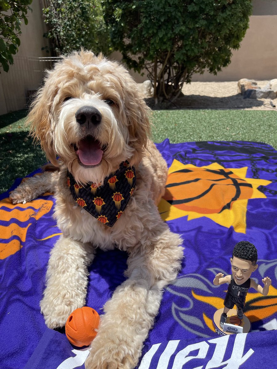 bcaretto's tweet photo. @Suns Rosie! #gosuns https://t.co/QRSGUauiiv