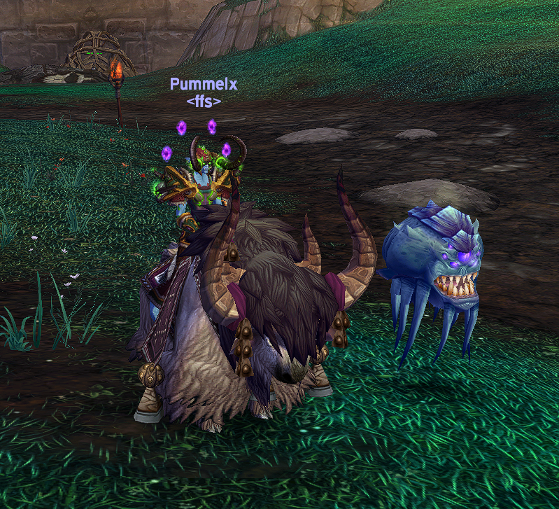 MOP has been so much fun so far love these new mounts from the Celestial bags!