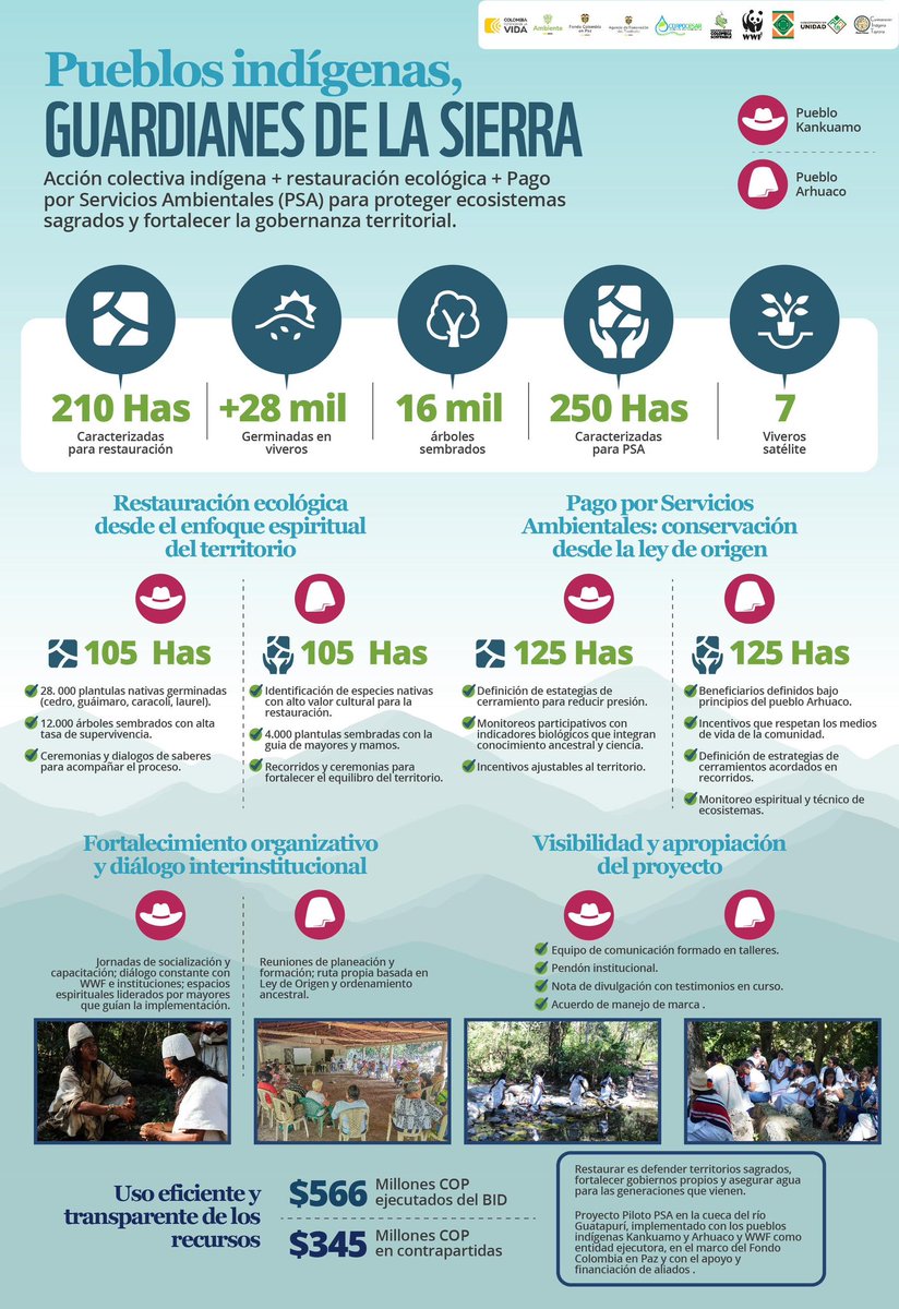 📣🏔️ #CITComunica | Desde la Sierra Nevada de Gonawindua, un trabajo colectivo avanza para restaurar la cuenca hidrográfica del río Guatapurí.

🤝 Con el apoyo de Fondo Colombia Sostenible, BID, WWF Colombia y Fondo Colombia en Paz, impulsamos acciones de 🌱 restauración